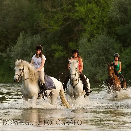 Junior Con Jacuzzi B&B Babilafuente